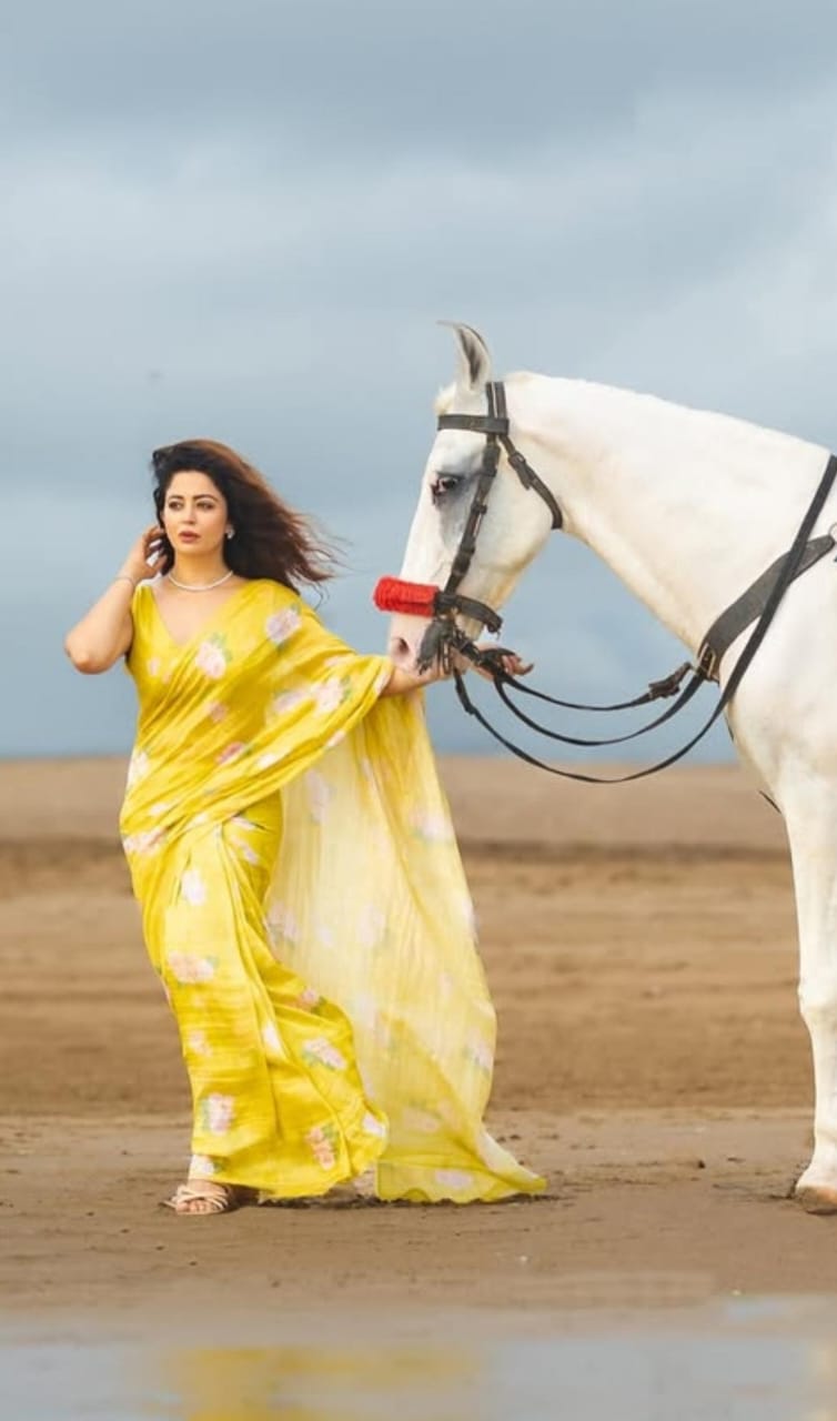 Linen Saree With Digital Print