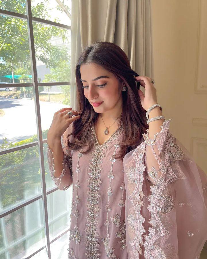 Heavy pakistani embroided suit