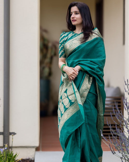 BANARASI SAREE